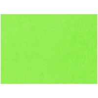 Картон тонированный А3 200г/м2 Лилия Холдинг, зеленый, 50л.