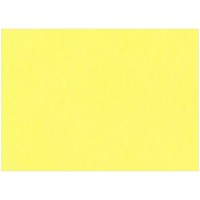 Картон тонированный А3 200г/м2 Лилия Холдинг, жёлтый, 50л.