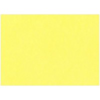 Картон тонированный А3 200г/м2 Лилия Холдинг, жёлтый, 50л.