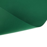 Бумага цветная SADIPAL Sirio, 240г/м2, лист 50х65см, Зеленый еловый, 25л./упак.