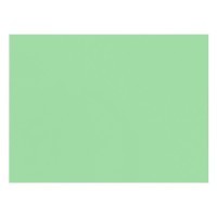 Бумага цветная SADIPAL Sirio, 240г/м2, лист 21х29.7см, Зеленый бледный, 50л./упак.