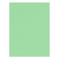 Бумага цветная SADIPAL Sirio, 120г/м2, лист 21х29.7см, Зеленый бледный, 50л./упак.