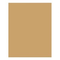 Бумага цветная SADIPAL Sirio, 120г/м2, лист 21х29.7см, Коричневый светлый, 50л./упак.