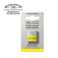 Акварель Winsor&Newton PROFESSIONAL мал. кювета, висмут желтый