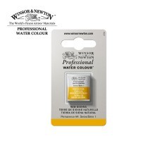 Акварель Winsor&Newton PROFESSIONAL мал. кювета, сиена натуральная