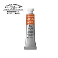 Акварель Winsor&Newton PROFESSIONAL туба 5мл, сиена жженая
